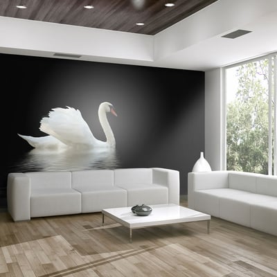 Papier peint intissé panoramique Animaux cygne (noir et blanc) EDEN