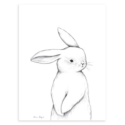 Affiche lapins de face BUNNY LILIPINSO