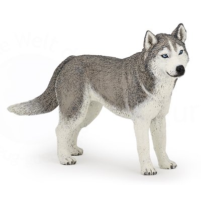 Figurine Husky de Sibérie PAPO