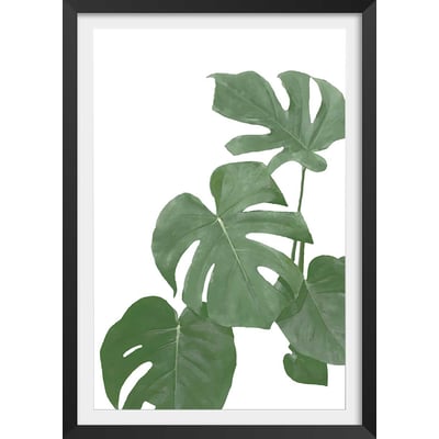 Affiche Feuilles de Monstera HEXOA
