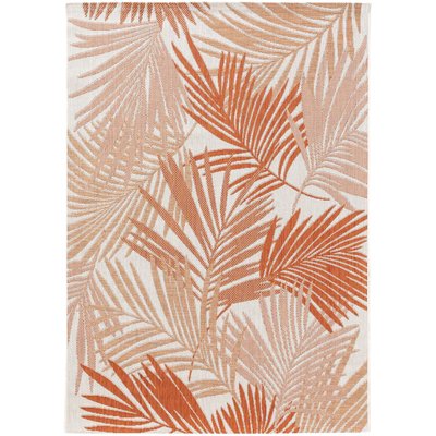 Tapis d'extérieur & intérieur CLEO BENUTA 