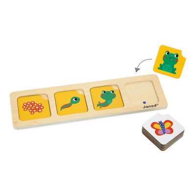 Cartes Sequences - Le Jardin JANOD