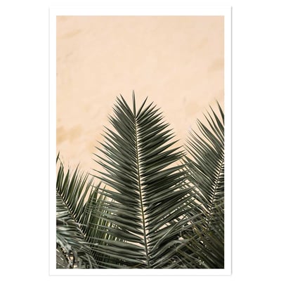 Poster sandy palme HEXOA