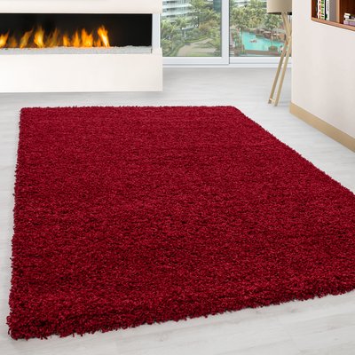 Tapis intérieur à poils longs OTTAWA NAZAR RUGS