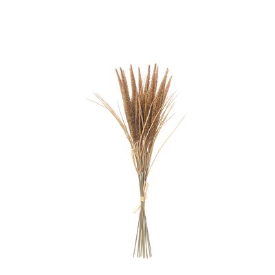 Bouquet de pampa 12 tiges artificielle H50 SIA DECO
