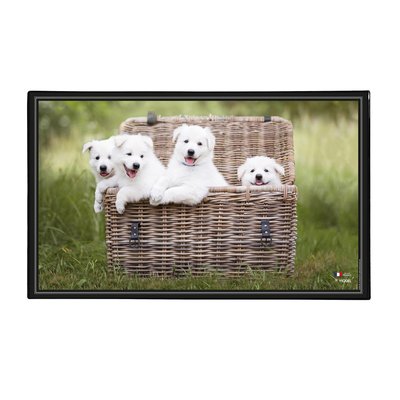 Sous main de bureau décoratif thème CHIOTS VIQUEL