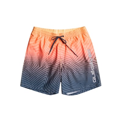 Short de bain EVERYDAY WARPED LOGO 17" QUIKSILVER