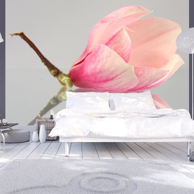 Papier peint intissé panoramique Fleurs Fleur de magnolia solitaire EDEN