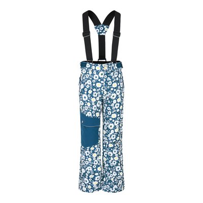 Pantalon de ski POW DARE 2B