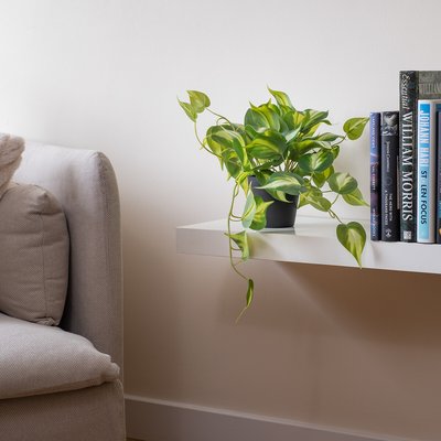 40cm Artificial Real Touch Trailing Silver Vine SO'HOME