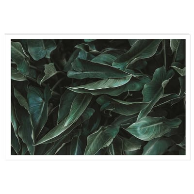 Affiche green leaves HEXOA