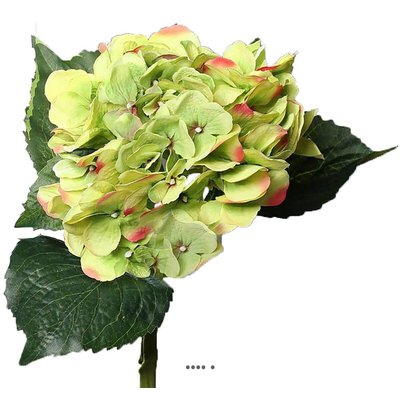Hortensia artificiel en tige 1 tête 3 feuille ARTIFICIELLES