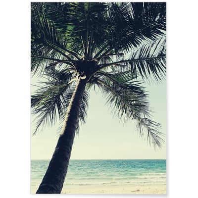 Poster Nature Palmier plage L'AFFICHERIE