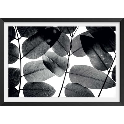 Affiche reproduction experiments with leaves i HEXOA