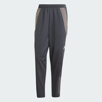 Pantalon de présentation Real Madrid Tiro 24 Competition adidas Performance