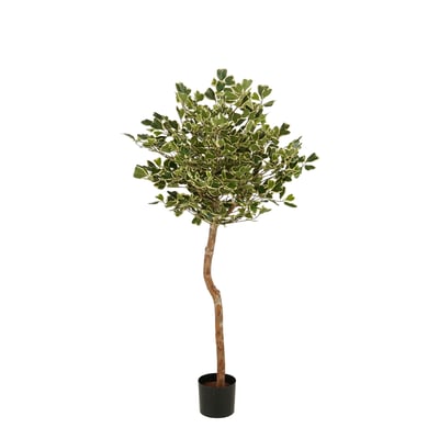 Plante artificielle FICUS MICA DECORATIONS