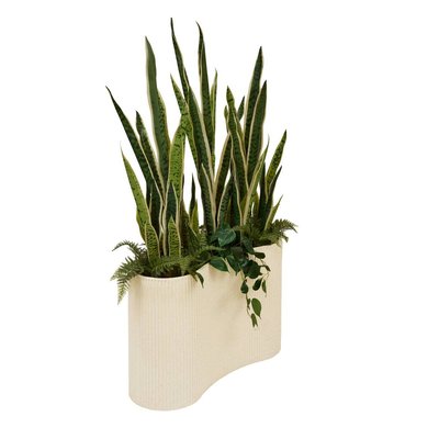 Plante grand format SKY ATMOSPHERA