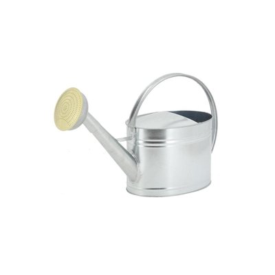 Arrosoir en métal galvanisé 10 L AUBRY GASPARD