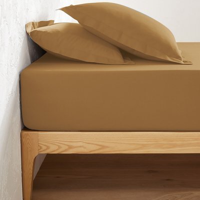 Drap housse uni coton, bonnet 32cm, Scenario LA REDOUTE INTERIEURS
