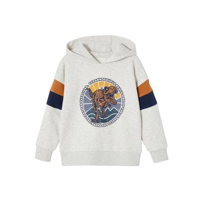 Sweat à capuche motif grahique manches colorblock VERTBAUDET