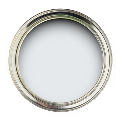 Active Emulsion Paint Wisteria Falls SANDERSON