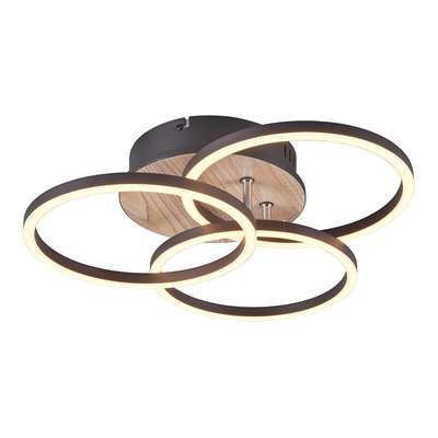 Candeeiro de teto Circle, TRIO Lighting TRIO LIGHTING