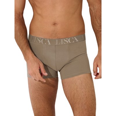 Boxer Odysseus LISCA