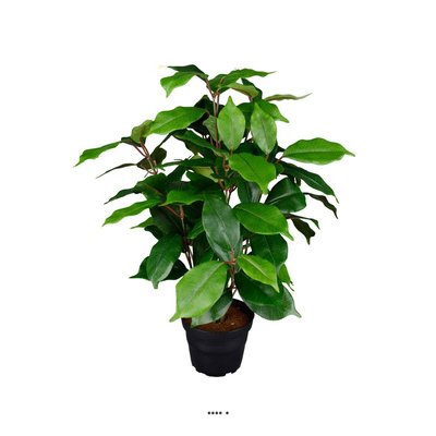 Ficus benjamina artificiel en pot H 40 cm, ARTIFICIELLES