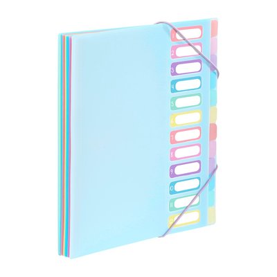 Trieur document A4 avec 12 compartiments RAINBOW PASTEL VIQUEL