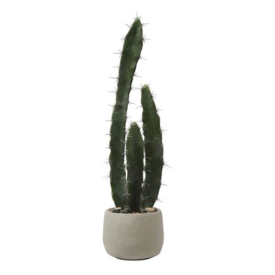 Cactus artificielle en pot en céramique H64 SIA DECO