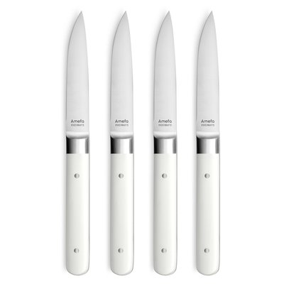 Coffret 4 couteaux steak - FUSION AMEFA