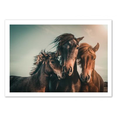 Affiche d’art 30 x 40 cm - Family Portrait - Marcus Hennen WALL EDITIONS