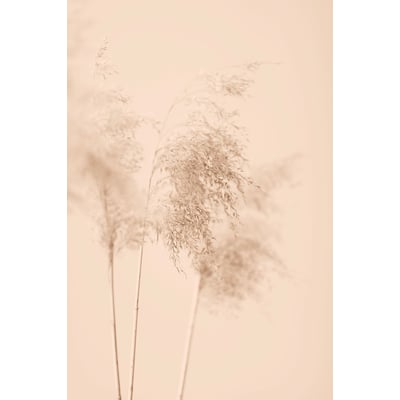 Tableau des champs sauvages HEXOA