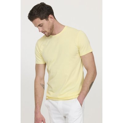 T-shirt manches courte coton regular AYLAN LEE COOPER