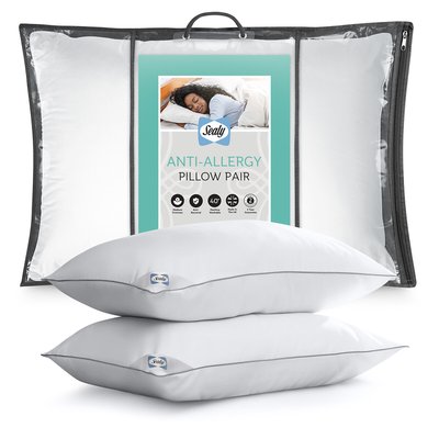 Anti Allergy Pillow Pair SEALY