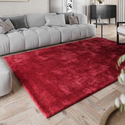 Tapis à poils longs doux pour salon ,  PISA HOMIE LIVING