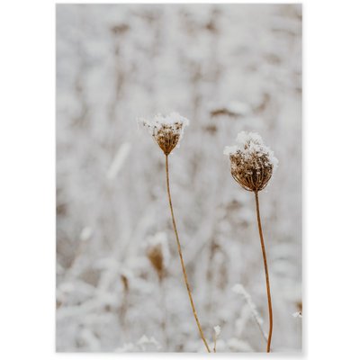 Poster Nature Winter 3 L'AFFICHERIE