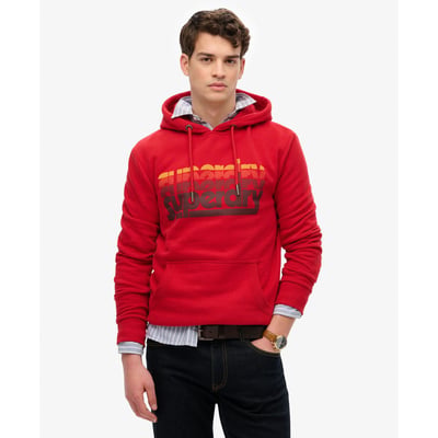 Sweat à capuche Stacked SUPERDRY
