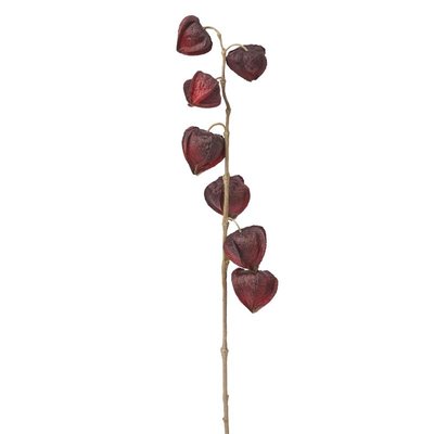 Tige de physalis artificielle H90 SIA DECO