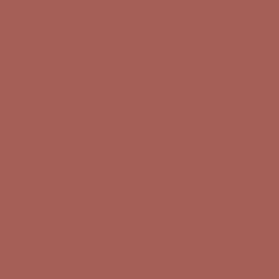 Active Emulsion Paint Fire Pink SANDERSON