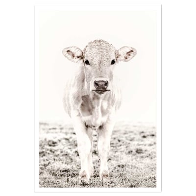 Affiche enfant veau HEXOA