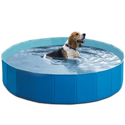Piscine pliable pour animaux INTEX