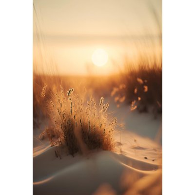 Tableau mer et plage coucher de soleil à la plage HEXOA