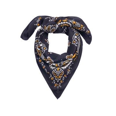 Foulard medium à motifs PAISLEY WILD