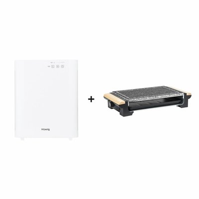 purificateur d'air ioniseur + pierre a griller - air800 + rp320 H.KOENIG