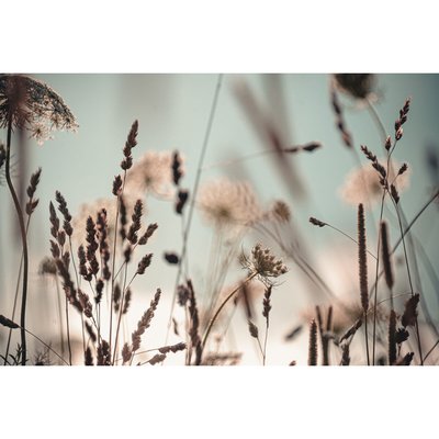 Tableau Mural Floral Pastel FLEUR CEANOTHE