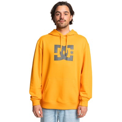 Sweat à capuche. DC SHOES