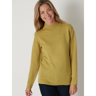 Pull manches longues col montant DAXON