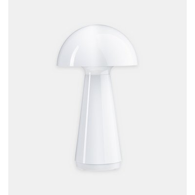 Lampe À Poser Led Mobile Rechargeable 3-step-dim Gradable Usb-c PAULMANN