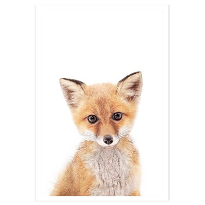 Affiche enfant bébé fox HEXOA